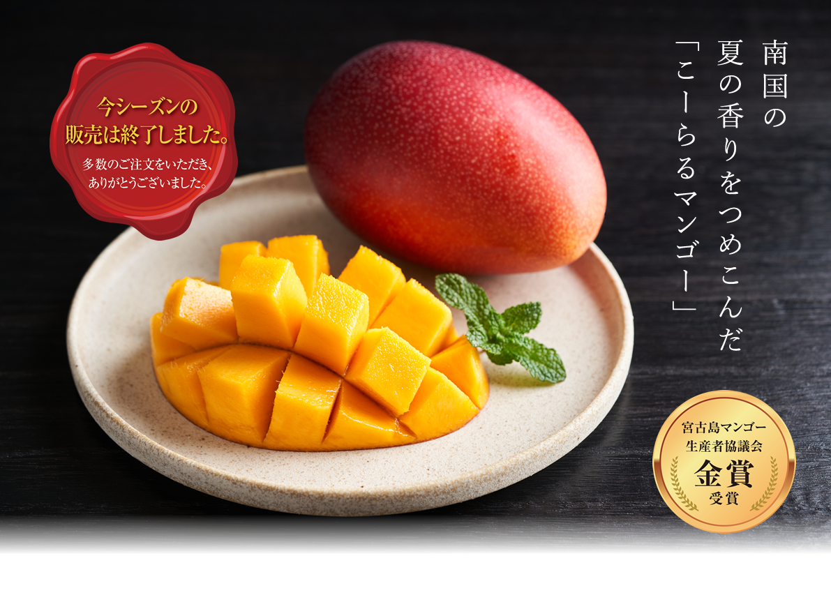 摘果マンゴー 20kg 宮古島産 - 果物